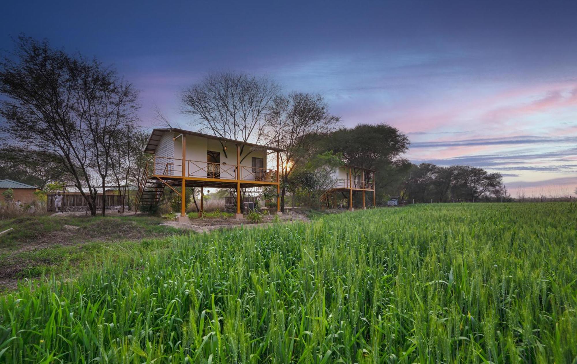 Bagh Serai - Rustic Cottage With Private Pool Sawai Madhopur Exteriér fotografie